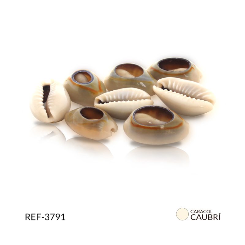 Caracol caubri irregular grande / Paquete x 20 grm / REF-3791OS