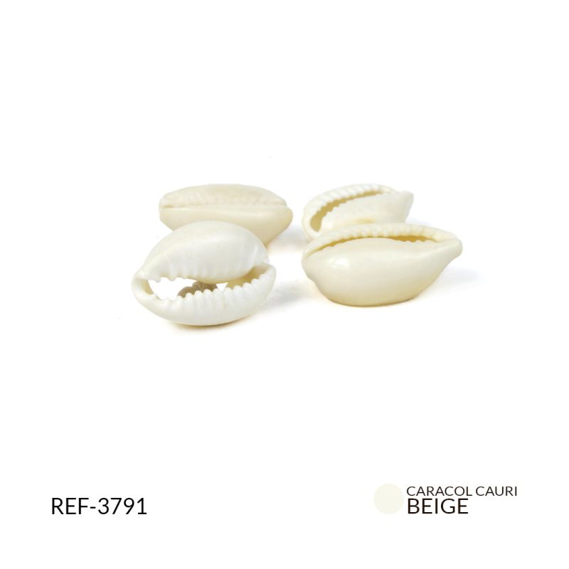 Caracol caubri irregular/ Paquete x 20 grm / REF-3791